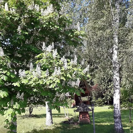 Vel Tuvak Dabai *